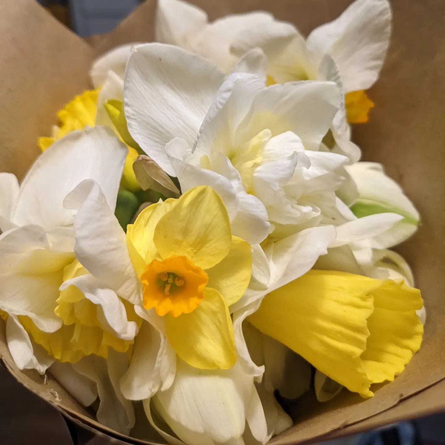 A bouquet of daffodils.